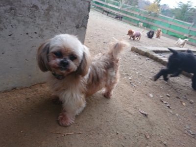 f:id:roukenhome-ann:20181127071041j:plain
