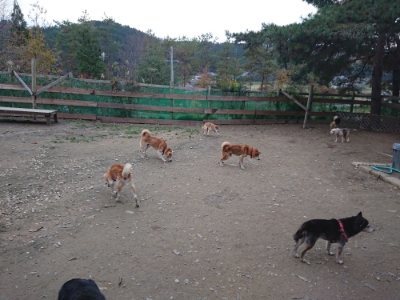 f:id:roukenhome-ann:20181127071343j:plain