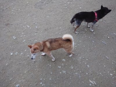 f:id:roukenhome-ann:20181127071352j:plain