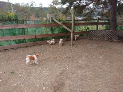f:id:roukenhome-ann:20181127071430j:plain
