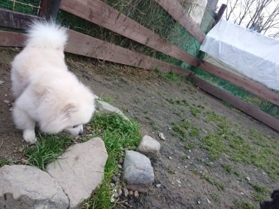 f:id:roukenhome-ann:20181127071609j:plain