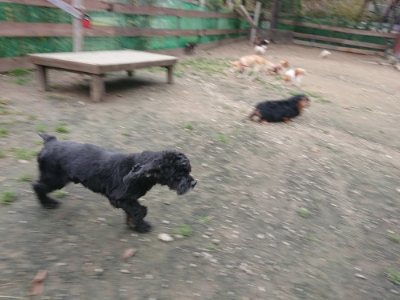 f:id:roukenhome-ann:20181127071639j:plain