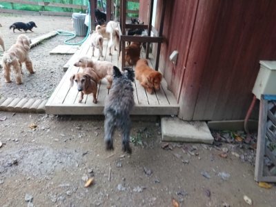f:id:roukenhome-ann:20181127071654j:plain