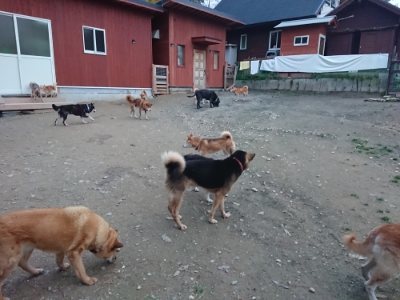 f:id:roukenhome-ann:20181127071658j:plain