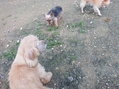 f:id:roukenhome-ann:20181127071703j:plain