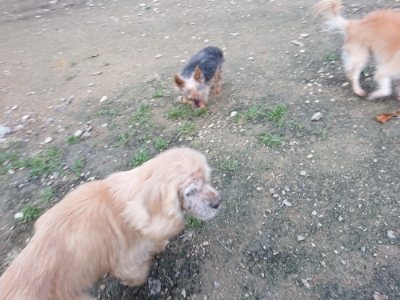 f:id:roukenhome-ann:20181127071707j:plain
