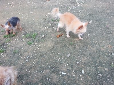 f:id:roukenhome-ann:20181127071711j:plain