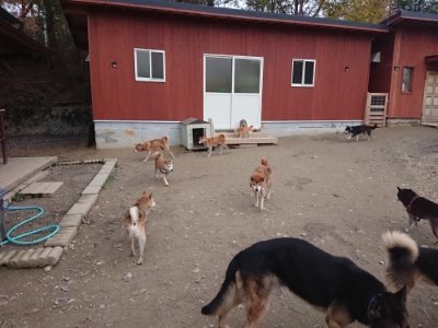 f:id:roukenhome-ann:20181127071731j:plain