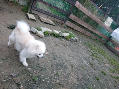 f:id:roukenhome-ann:20181127071735j:plain