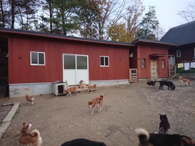 f:id:roukenhome-ann:20181127071800j:plain