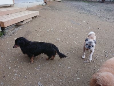 f:id:roukenhome-ann:20181127072247j:plain