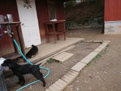 f:id:roukenhome-ann:20181127072335j:plain