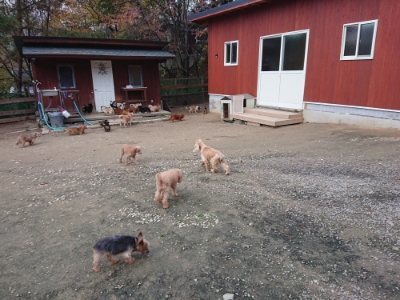 f:id:roukenhome-ann:20181127072410j:plain