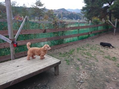 f:id:roukenhome-ann:20181127072422j:plain
