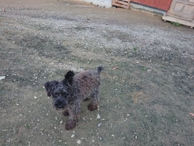 f:id:roukenhome-ann:20181127072445j:plain
