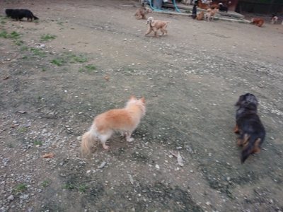f:id:roukenhome-ann:20181127072450j:plain