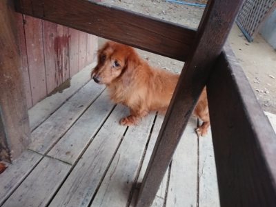 f:id:roukenhome-ann:20181127072515j:plain