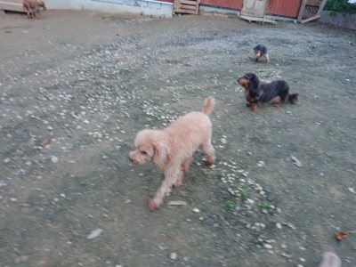 f:id:roukenhome-ann:20181127072524j:plain