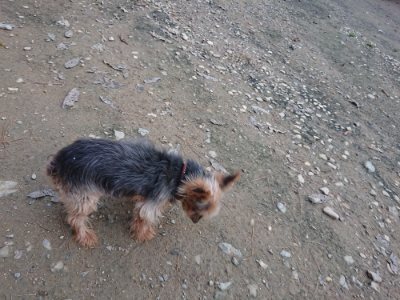 f:id:roukenhome-ann:20181127072541j:plain