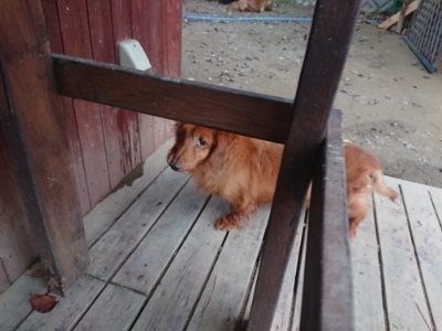 f:id:roukenhome-ann:20181127072609j:plain