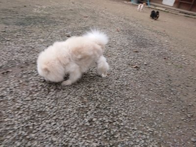 f:id:roukenhome-ann:20181127072632j:plain