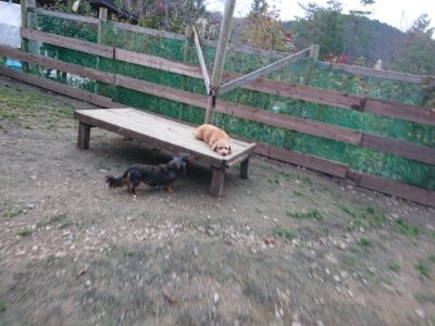 f:id:roukenhome-ann:20181127073333j:plain