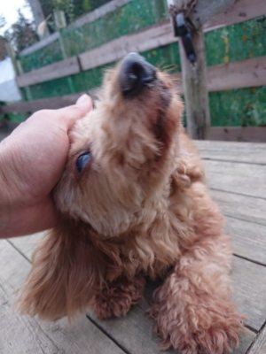 f:id:roukenhome-ann:20181127073337j:plain
