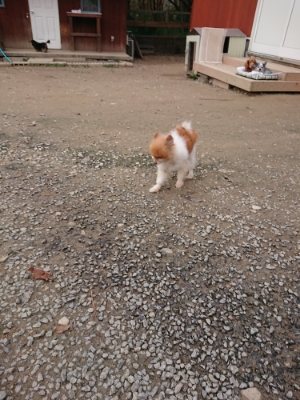 f:id:roukenhome-ann:20181127073425j:plain
