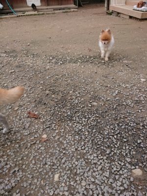f:id:roukenhome-ann:20181127073451j:plain