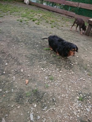 f:id:roukenhome-ann:20181127073501j:plain