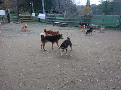 f:id:roukenhome-ann:20181127073644j:plain