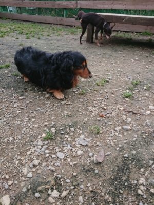 f:id:roukenhome-ann:20181127073727j:plain