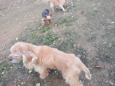 f:id:roukenhome-ann:20181127073811j:plain