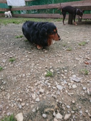 f:id:roukenhome-ann:20181127073825j:plain