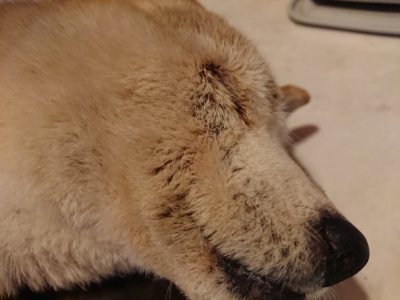 f:id:roukenhome-ann:20181127122215j:plain