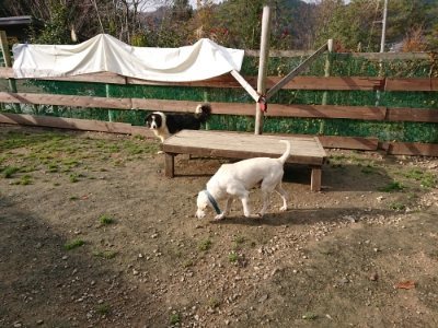 f:id:roukenhome-ann:20181129091005j:plain