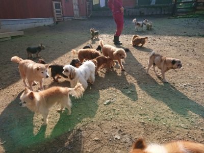 f:id:roukenhome-ann:20181129091050j:plain