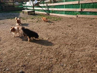 f:id:roukenhome-ann:20181129091112j:plain