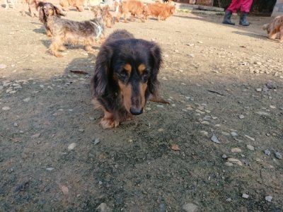 f:id:roukenhome-ann:20181129091214j:plain