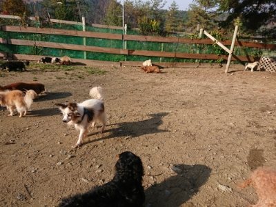 f:id:roukenhome-ann:20181129091234j:plain