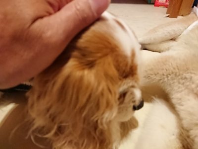 f:id:roukenhome-ann:20181129123431j:plain