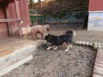 f:id:roukenhome-ann:20181129123436j:plain