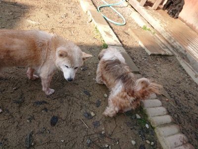 f:id:roukenhome-ann:20181129123505j:plain