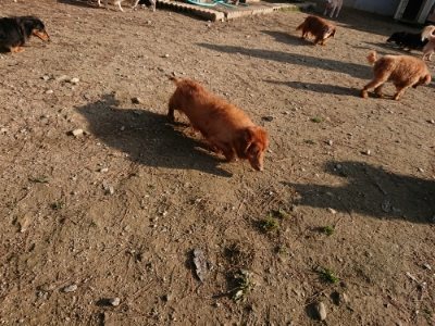 f:id:roukenhome-ann:20181129123642j:plain