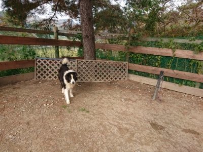 f:id:roukenhome-ann:20181129123651j:plain