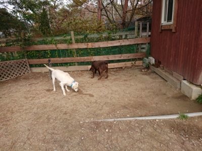 f:id:roukenhome-ann:20181129123710j:plain