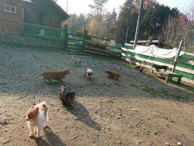 f:id:roukenhome-ann:20181129123720j:plain