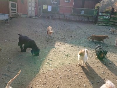 f:id:roukenhome-ann:20181129123724j:plain