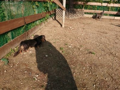 f:id:roukenhome-ann:20181129123729j:plain