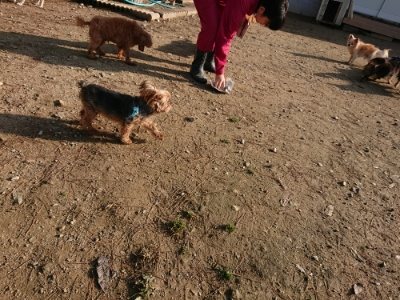 f:id:roukenhome-ann:20181129123737j:plain